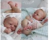 Kit - Realborn Zuri Awake 18" (Bountiful Baby)